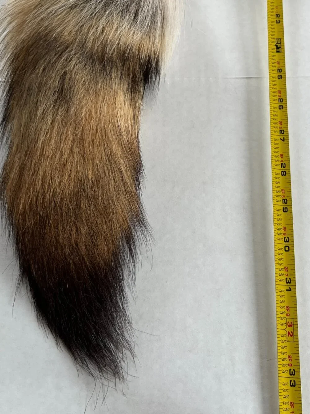 Frr Authentic Coyote Fur Hat Mens Classic Mountain Glacier Wear Genuine Luxury
